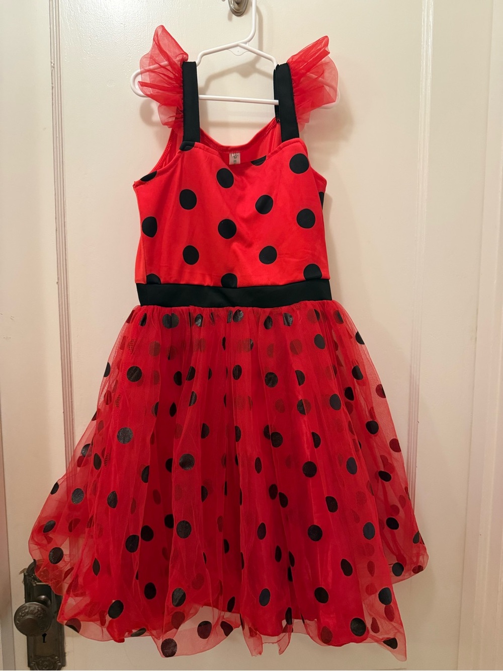 Girls Red and Black Polka Dot Ladybug Costume Dress